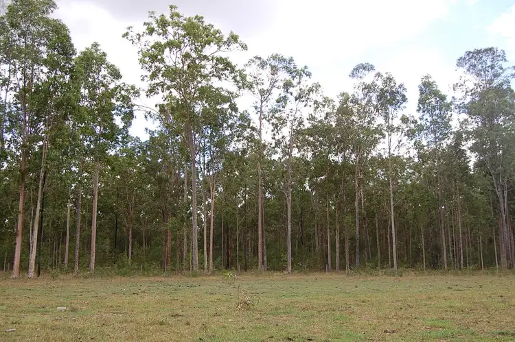 Second view of Homely rural property listing, 255 Avenue Road, Myrtle Creek NSW 2469