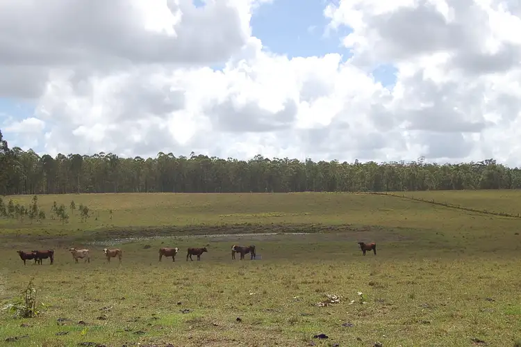 Sixth view of Homely rural property listing, 255 Avenue Road, Myrtle Creek NSW 2469