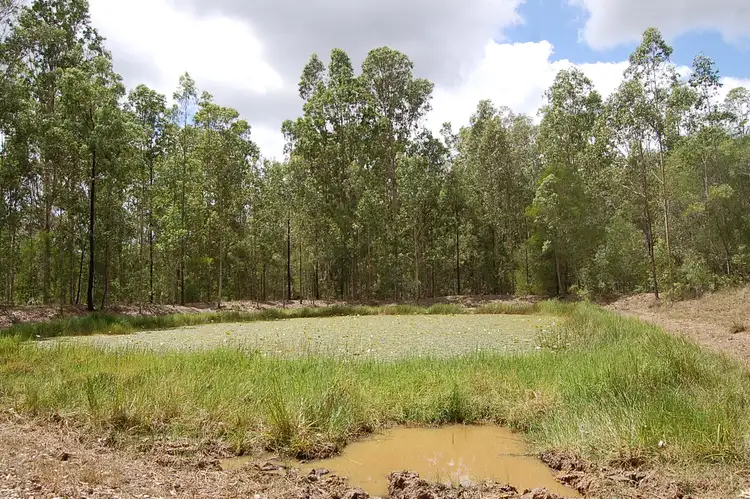 Seventh view of Homely rural property listing, 255 Avenue Road, Myrtle Creek NSW 2469