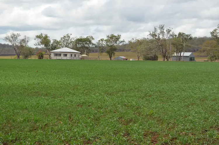 513 Pauli Road, Felton QLD 4358