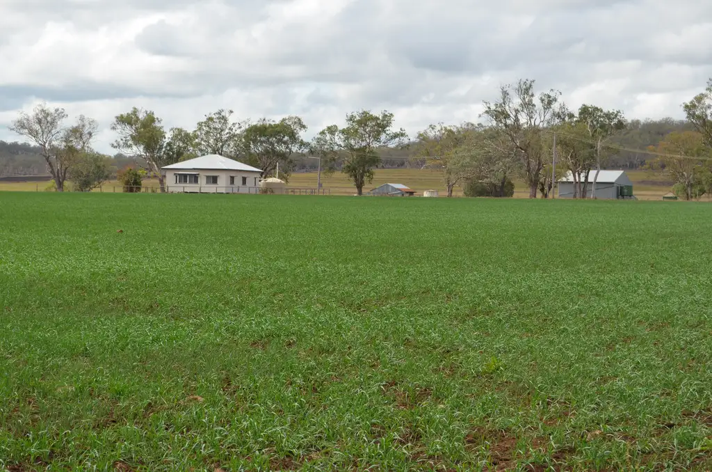 Main view of Homely rural property listing, 513 Pauli Road, Felton QLD 4358