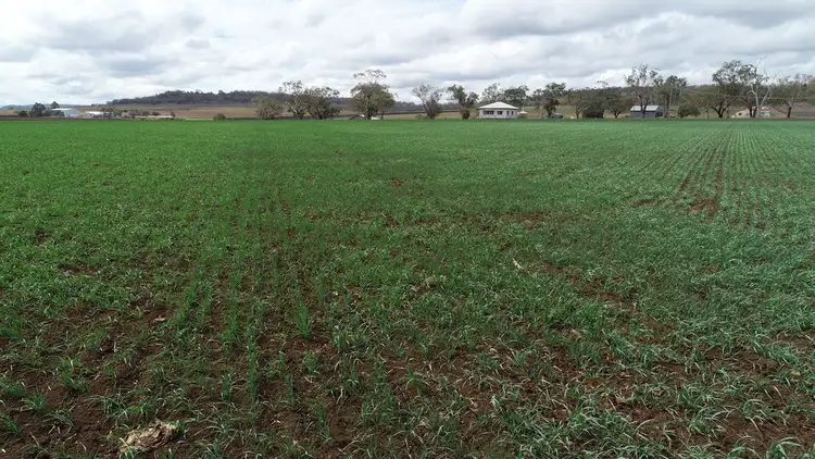 Third view of Homely rural property listing, 513 Pauli Road, Felton QLD 4358