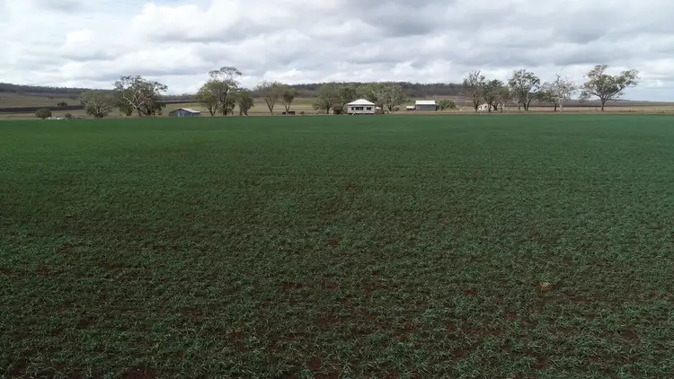 Fifth view of Homely rural property listing, 513 Pauli Road, Felton QLD 4358