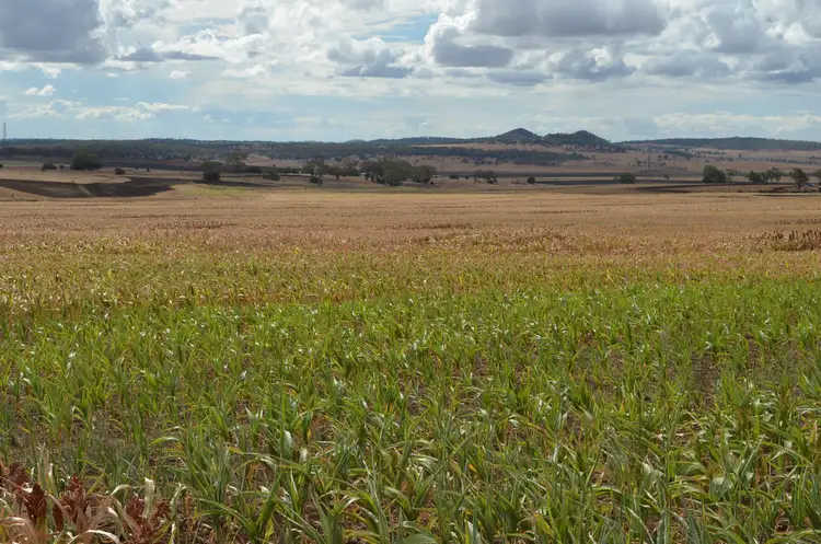 Sixth view of Homely rural property listing, 513 Pauli Road, Felton QLD 4358