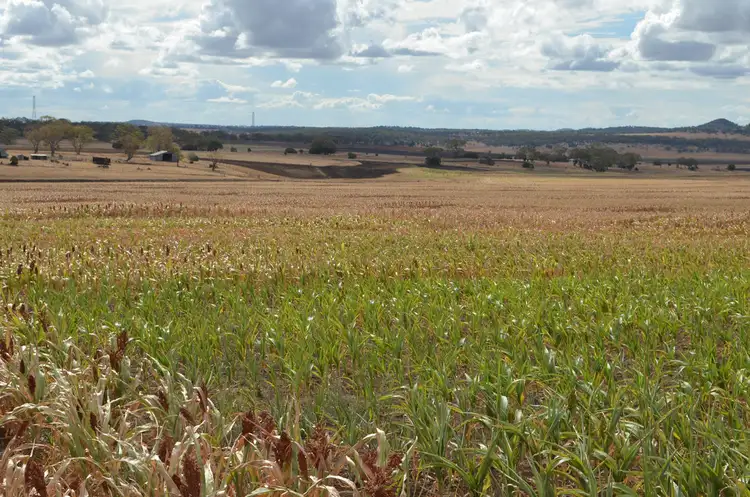 Seventh view of Homely rural property listing, 513 Pauli Road, Felton QLD 4358