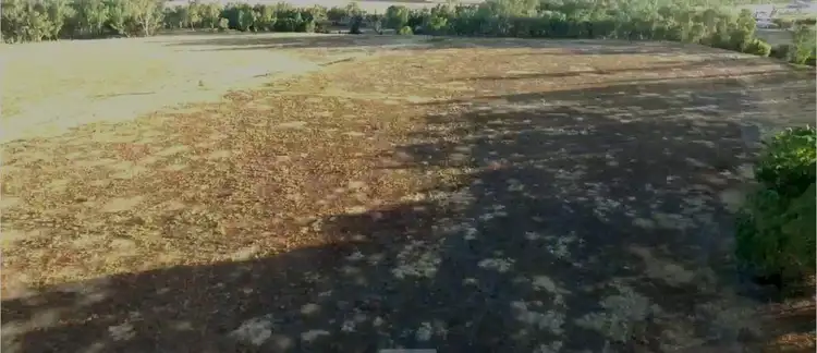 Fifth view of Homely rural property listing, 52 O'Connors Lane, Narrabri NSW 2390