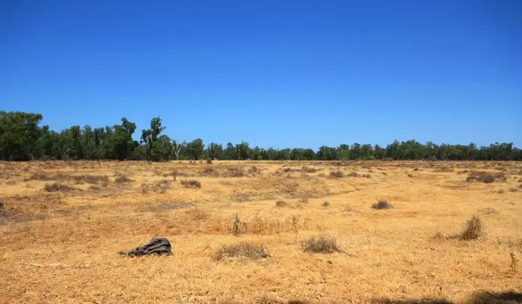 Sixth view of Homely rural property listing, 52 O'Connors Lane, Narrabri NSW 2390