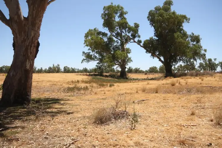 Seventh view of Homely rural property listing, 52 O'Connors Lane, Narrabri NSW 2390