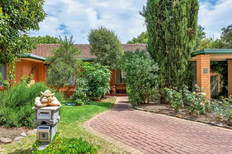 Fourth view of Homely house listing, 16 Vaucluse Crescent, Bellevue Heights SA 5050