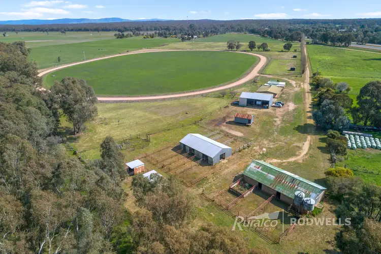 Second view of Homely rural property listing, 110 Crawford Road, Benalla VIC 3672