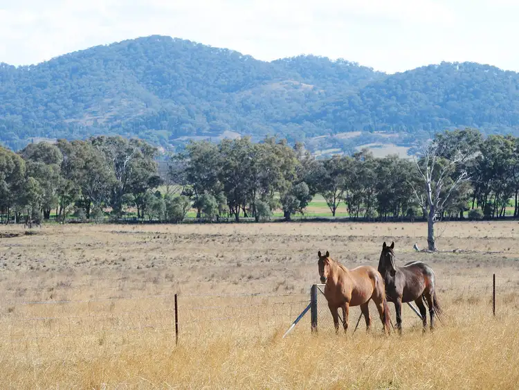 Main view of Homely rural property listing, 313 Magpie Lane, Gulgong NSW 2852