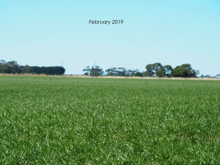 Second view of Homely rural property listing, 54 Davis Road, Cobrico VIC 3266