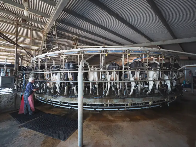 Third view of Homely rural property listing, 54 Davis Road, Cobrico VIC 3266