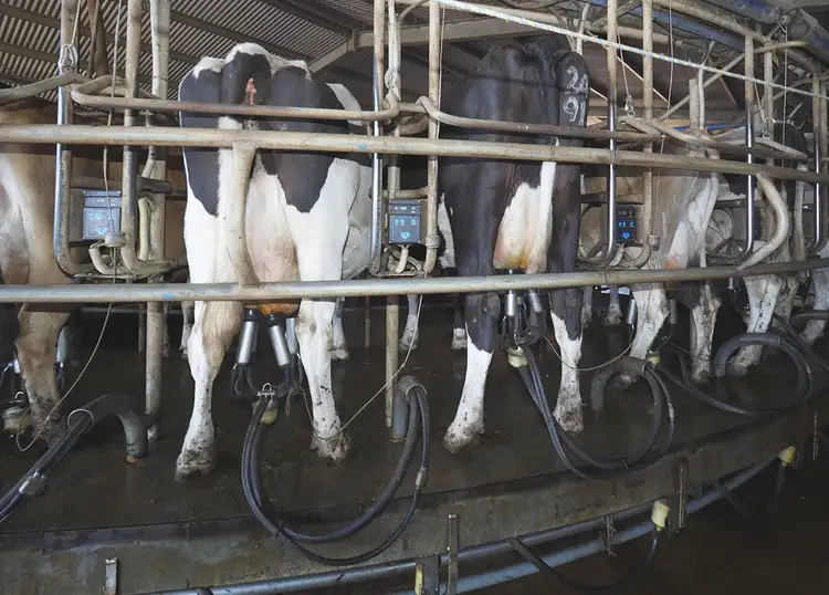 Fourth view of Homely rural property listing, 54 Davis Road, Cobrico VIC 3266