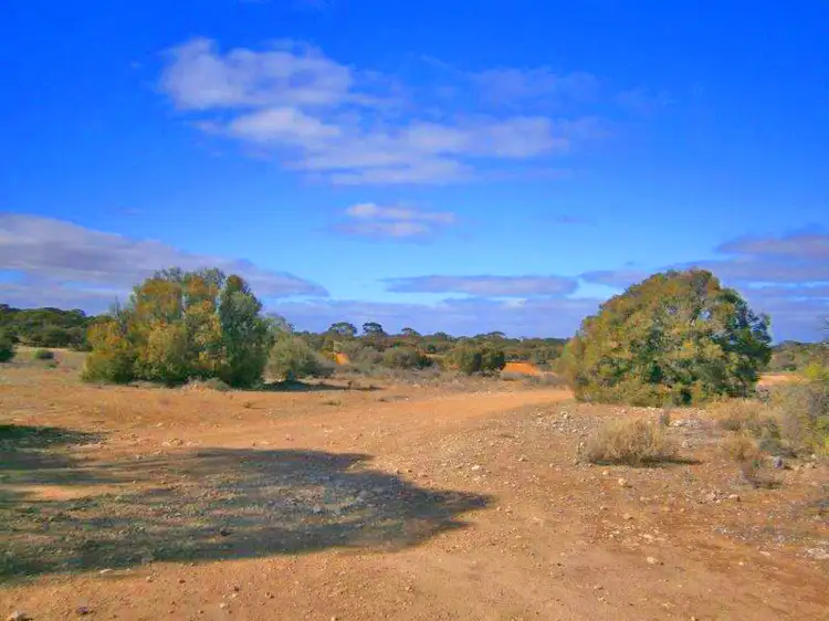 Main view of Homely rural property listing, Lot 91 Sturt Highway, Blanchetown SA 5357
