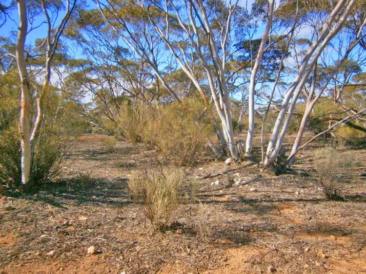 Seventh view of Homely rural property listing, Lot 91 Sturt Highway, Blanchetown SA 5357