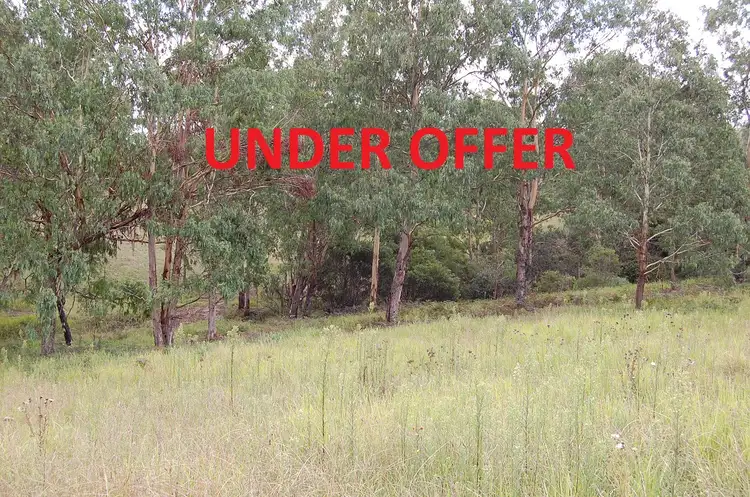 Main view of Homely rural property listing, 8031 Armidale Road, Dorrigo NSW 2453