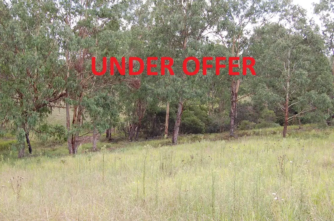 Main view of Homely rural property listing, 8031 Armidale Road, Dorrigo NSW 2453