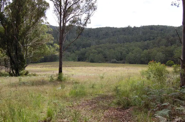 Fifth view of Homely rural property listing, 8031 Armidale Road, Dorrigo NSW 2453