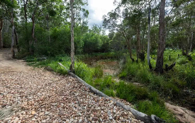 Fifth view of Homely rural property listing, 1496 Clarence Way, Whiteman Creek NSW 2460