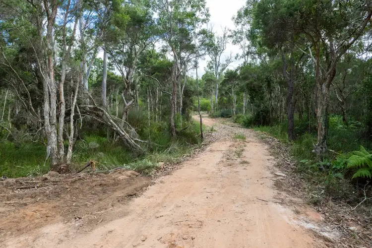 Sixth view of Homely rural property listing, 1496 Clarence Way, Whiteman Creek NSW 2460