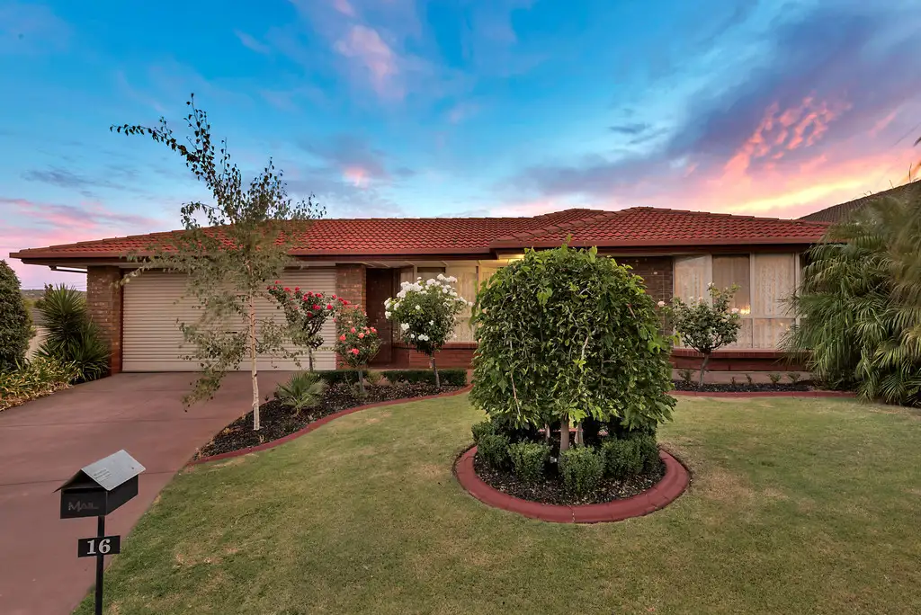 Main view of Homely house listing, 16 Buttercup Grove, Morphett Vale SA 5162