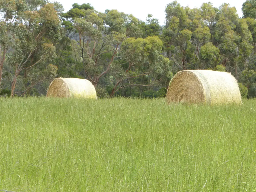 Main view of Homely rural property listing, 212 Coulahans Road, Laang VIC 3265