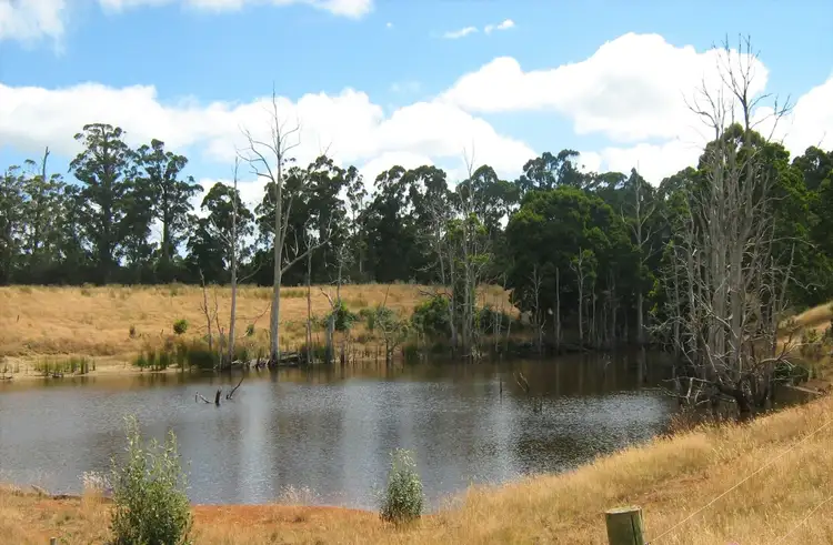 Fourth view of Homely rural property listing, . South, Moores & Hursts Road, Nabageena TAS 7330