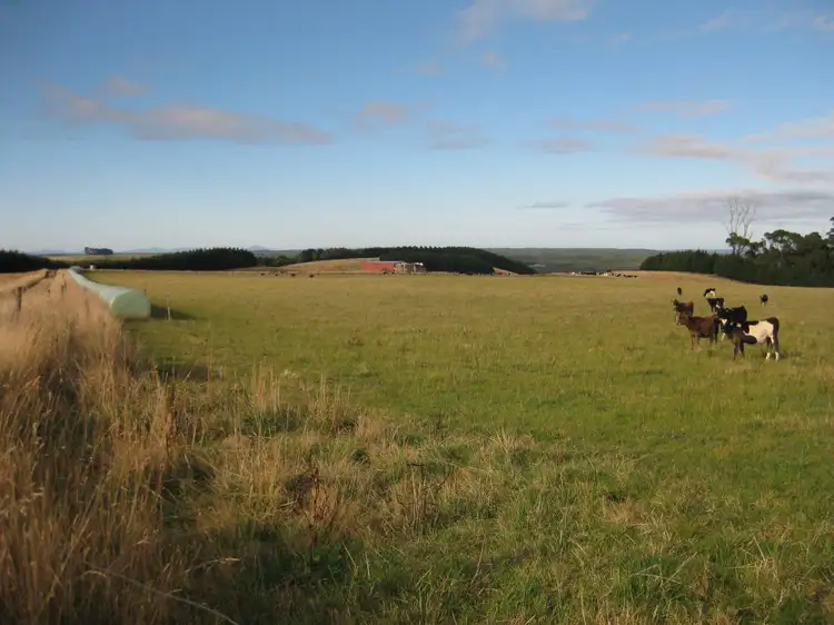 Seventh view of Homely rural property listing, . South, Moores & Hursts Road, Nabageena TAS 7330