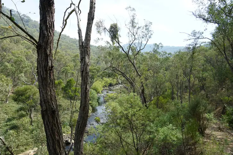 Main view of Homely land listing, Lots 4 & 5 Tooma, Tumbarumba NSW 2653
