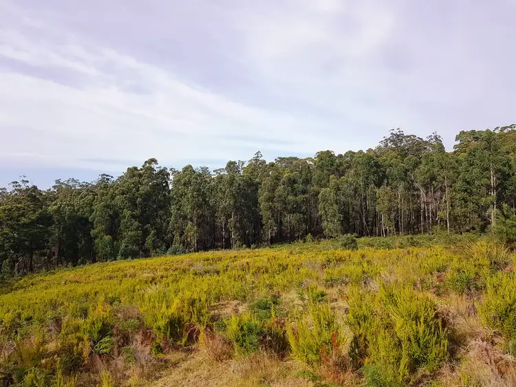 Seventh view of Homely land listing, Lot 3, 456 White Hill Road, Forcett TAS 7173