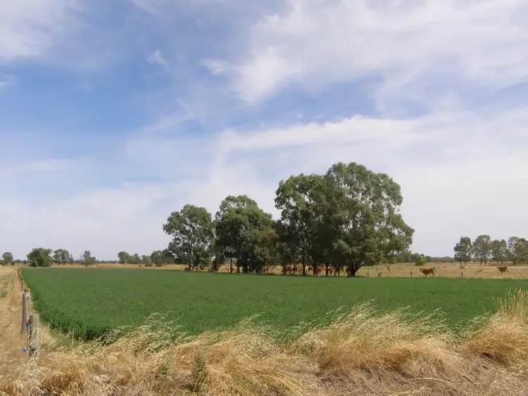 Third view of Homely rural property listing, 2042 Wilson Road, Koyuga VIC 3622