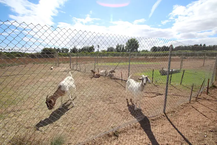 94 Kulkyne St, Renmark SA 5341