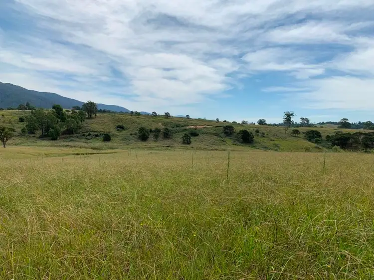 Main view of Homely rural property listing, 176 Upper Brogo Rd, Verona NSW 2550