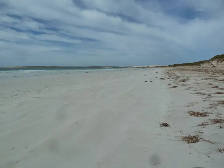 Main view of Homely land listing, Lot 12 Fowlers Bay Road, Fowlers Bay SA 5690
