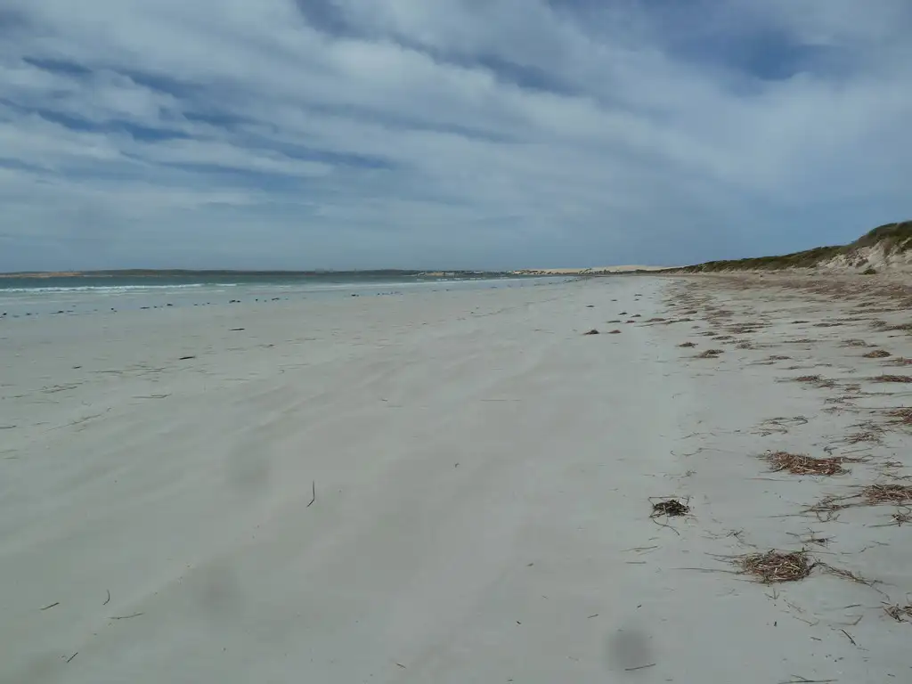 Main view of Homely land listing, Lot 12 Fowlers Bay Road, Fowlers Bay SA 5690