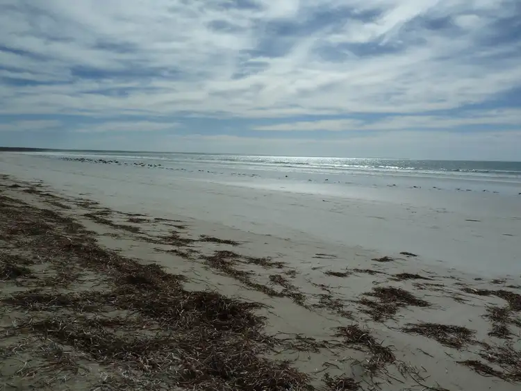 Fifth view of Homely land listing, Lot 12 Fowlers Bay Road, Fowlers Bay SA 5690