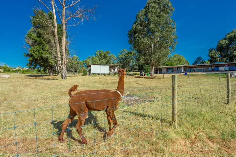 Seventh view of Homely land listing, 113A Palmer St, Donnybrook WA 6239