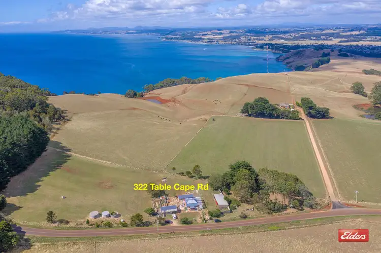 Main view of Homely house listing, 322 Table Cape Road, Table Cape TAS 7325