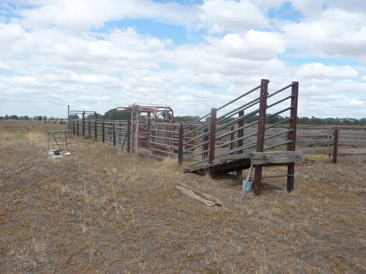 Second view of Homely rural property listing, 379 South Coree Road, Finley NSW 2713