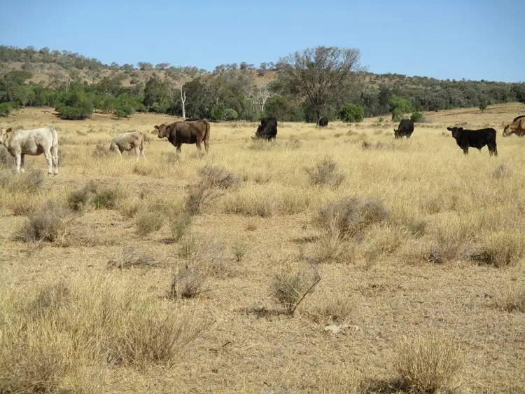 Main view of Homely rural property listing, 185 ACRES MOOLA DISTRICT, Maclagan QLD 4352