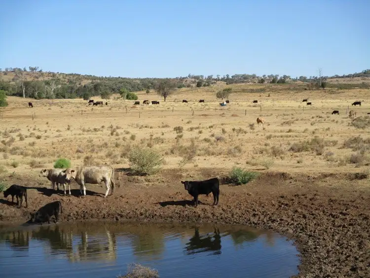 Fourth view of Homely rural property listing, 185 ACRES MOOLA DISTRICT, Maclagan QLD 4352