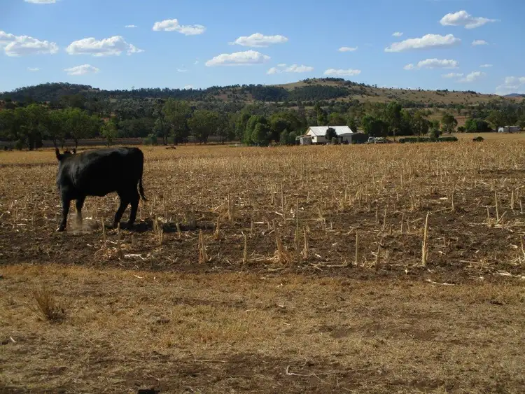 Seventh view of Homely rural property listing, 185 ACRES MOOLA DISTRICT, Maclagan QLD 4352