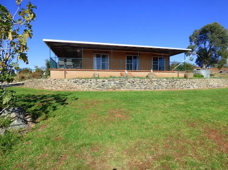 1223 Kingsvale Rd, Young NSW 2594