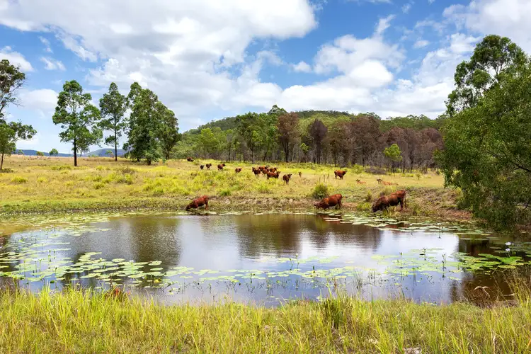 Main view of Homely rural property listing, 626 Black Flat Lane, Mount George NSW 2424