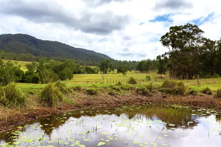 Seventh view of Homely rural property listing, 626 Black Flat Lane, Mount George NSW 2424