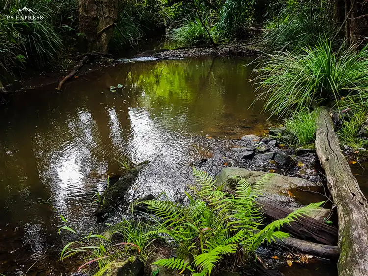 Fourth view of Homely house listing, 248 Schreibers Road, Cooran QLD 4569