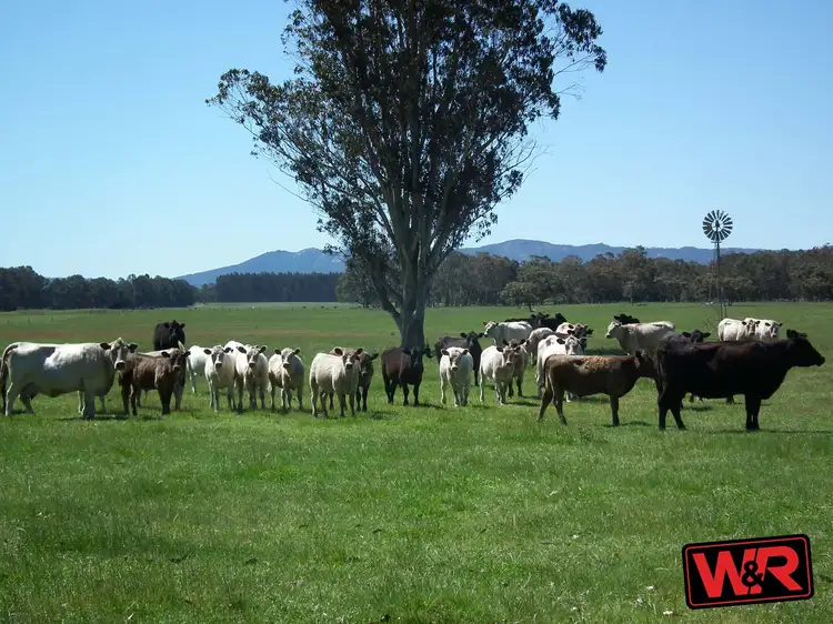 Main view of Homely rural property listing, 386 Settlement Road East, Narrikup WA 6326