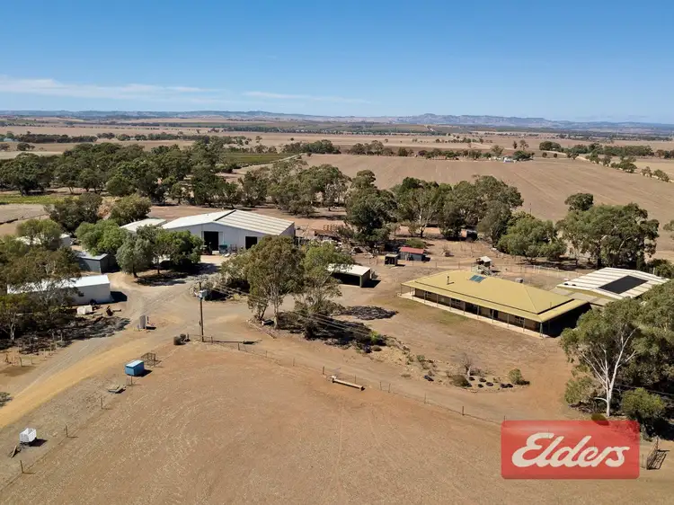 Main view of Homely house listing, 334 Nurse Road, Freeling SA 5372
