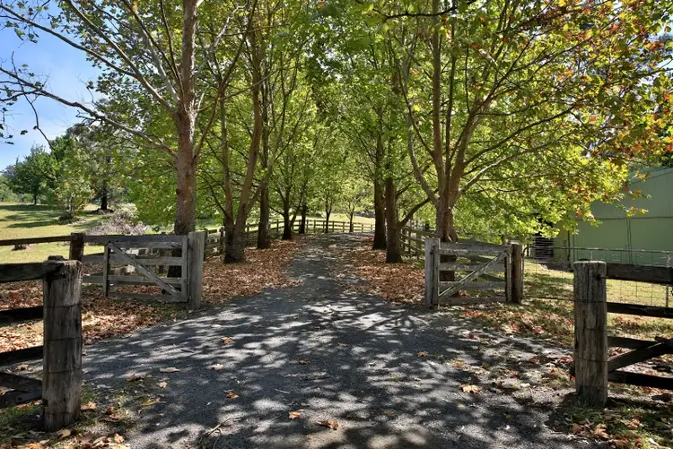 Fourth view of Homely house listing, 465 Strongs Road, Jaspers Brush NSW 2535
